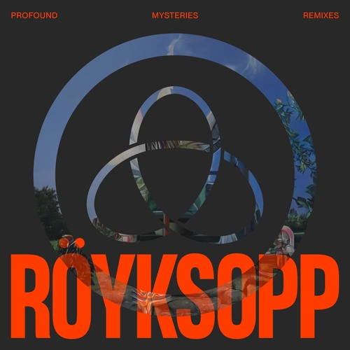 Royksopp - Profound Mysteries Remixes [DOG071DB]